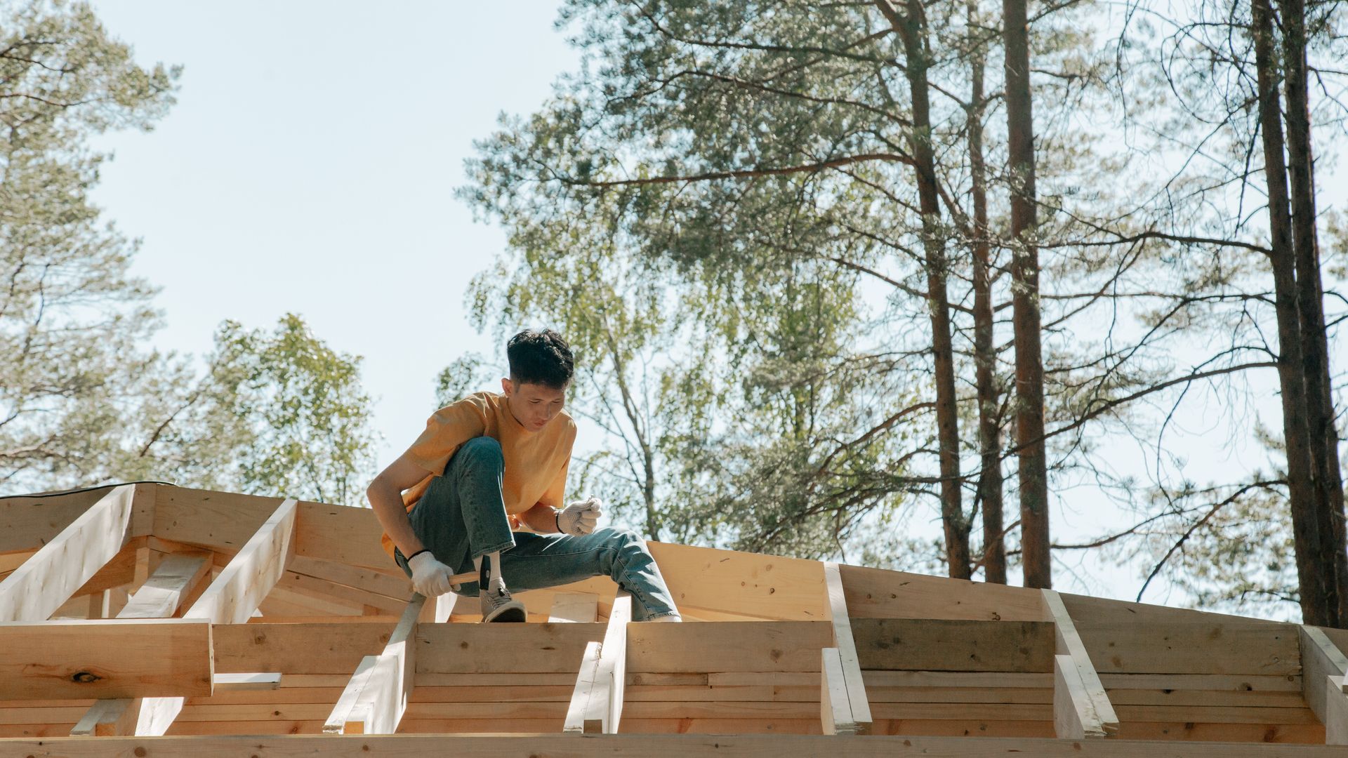 Roof Construction